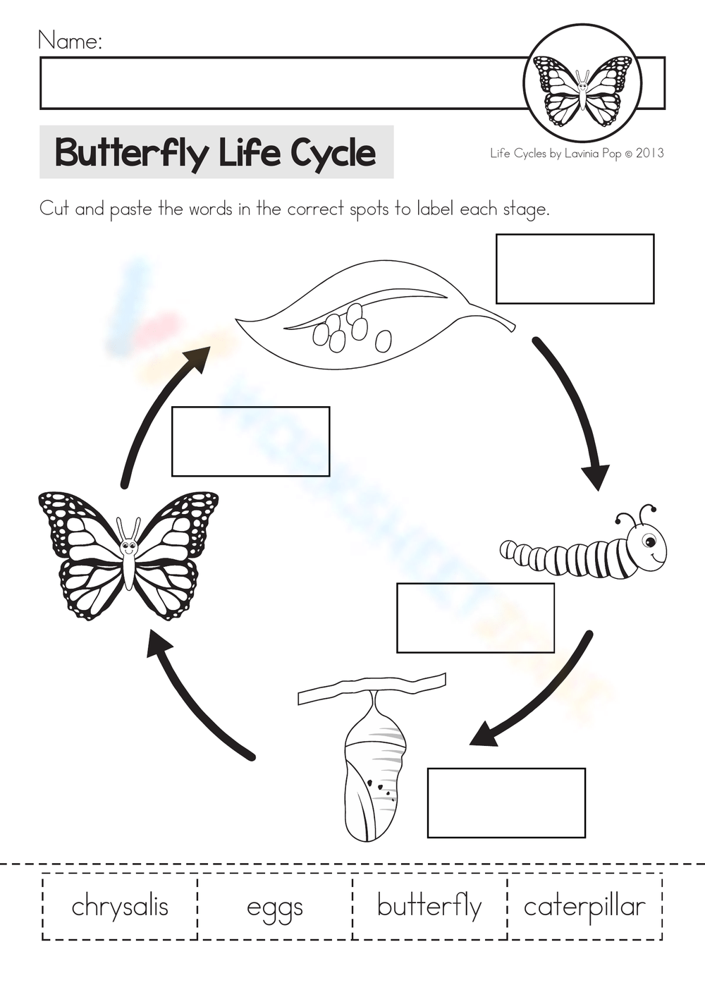 Butterfly Life Cycle Cut And Paste Worksheet By Lemons And Literacy Worksheets Library