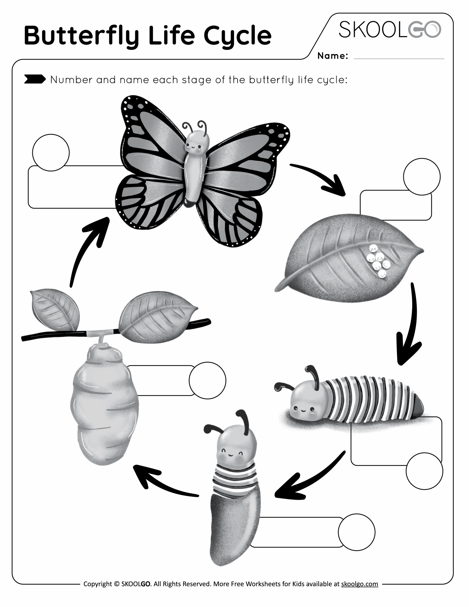 Butterfly Life Cycle The Stages Of Metamorphosis Super Simple Worksheets Library