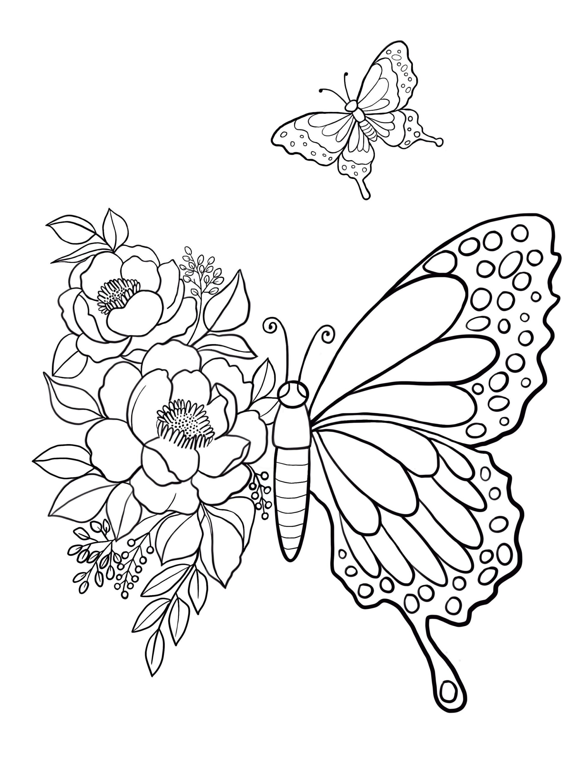 coloring picture of a butterfly