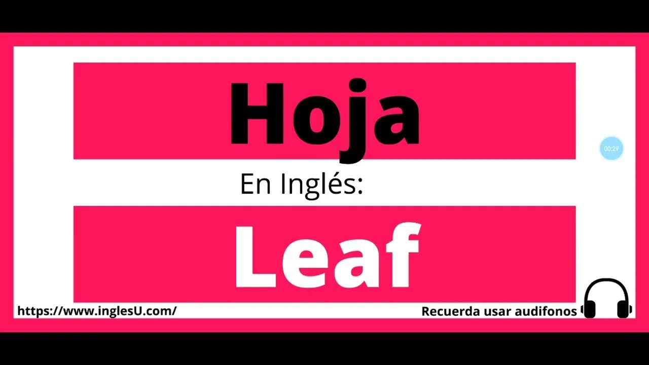 C mo Se Dice Hoja En Ingl s Hoja En Ingles YouTube