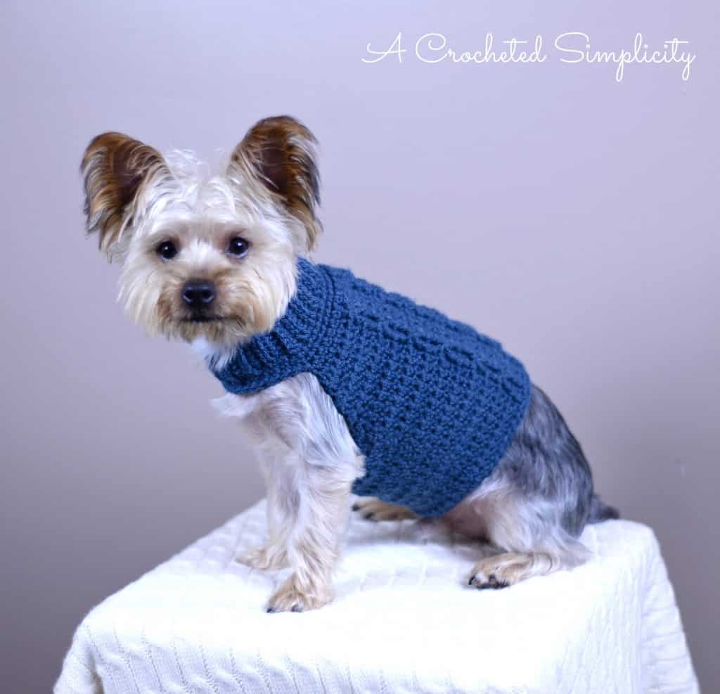 Cabled Crochet Dog Sweater Cabled Crochet Dog Sweater
