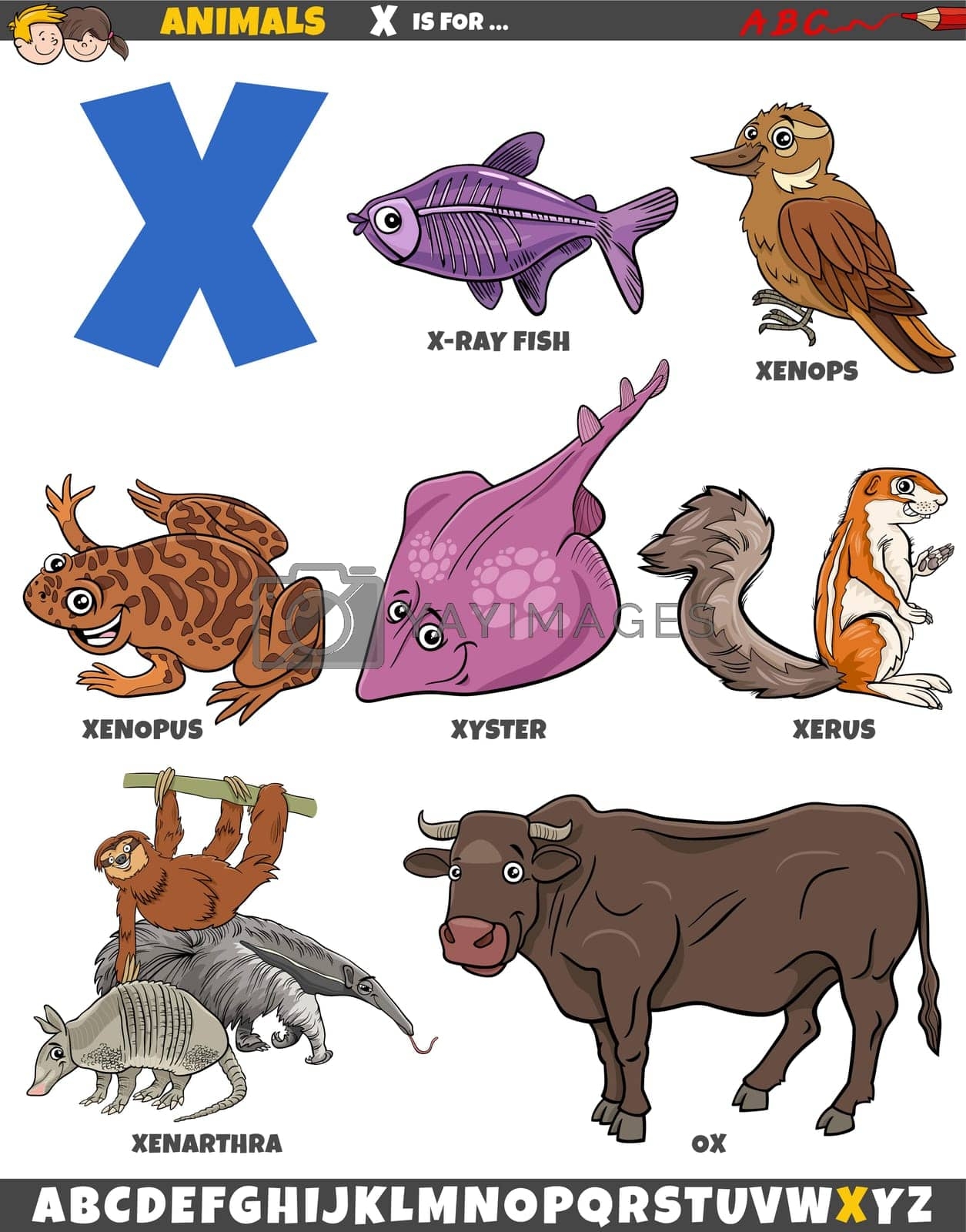 Cartoon Animal Characters For Letter X Educational Set By Izakowski Vectors Illustrations With Unlimited Downloads Yayimages Cartoon Animal Characters For Letter X Educational Set By Izakowski Vectors Illustrations With Unlimited Downloads Yayimages