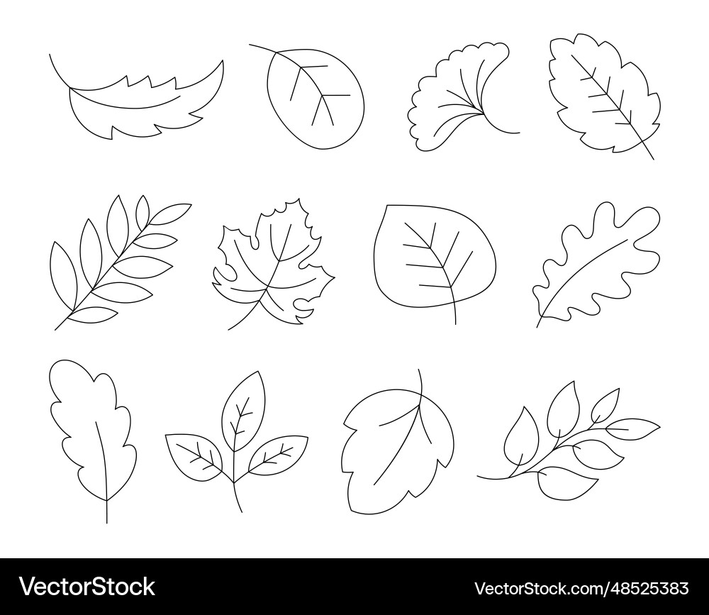Cartoon Autumn Leaves Coloring Page Royalty Free Vector