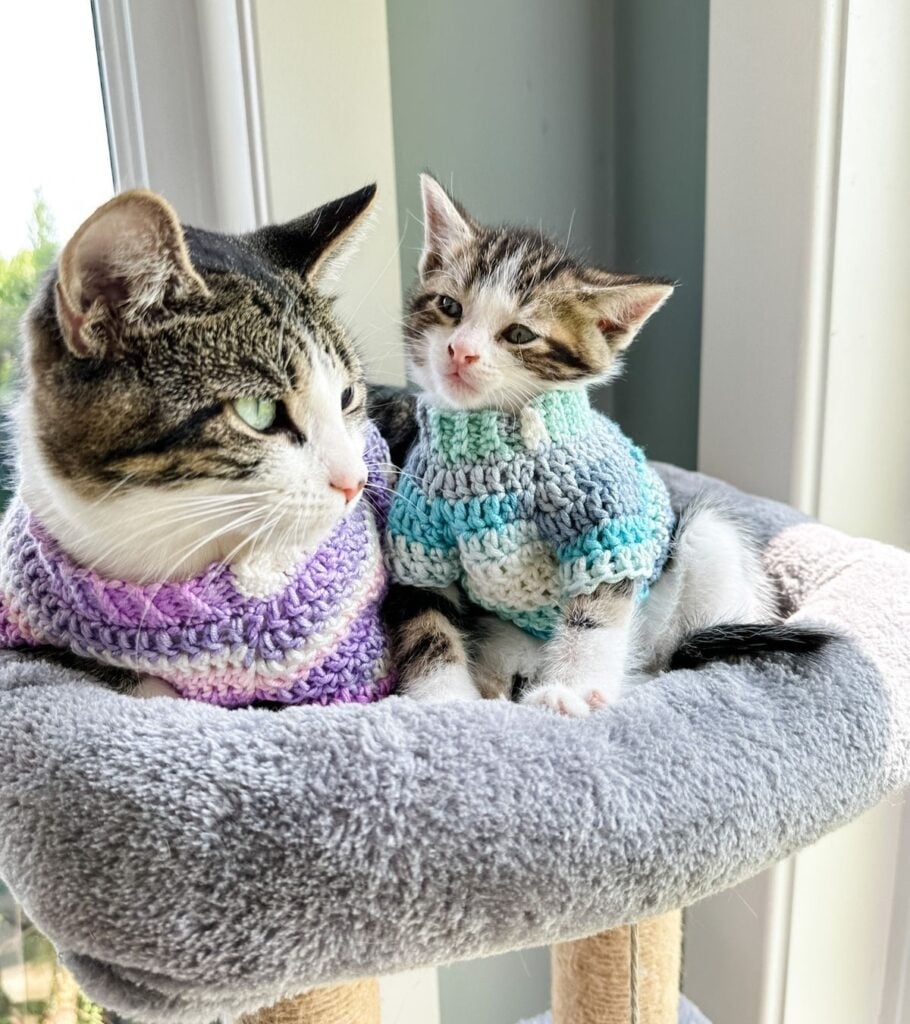 Cat Sweater Crochet Pattern MJ s Off The Hook Designs