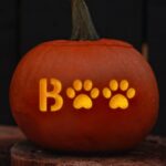 Cats And Dogs PRINTABLE Pumpkin Carving Stencil Set Animal Lover Jack o lantern Stencils Paw Halloween Craft Etsy