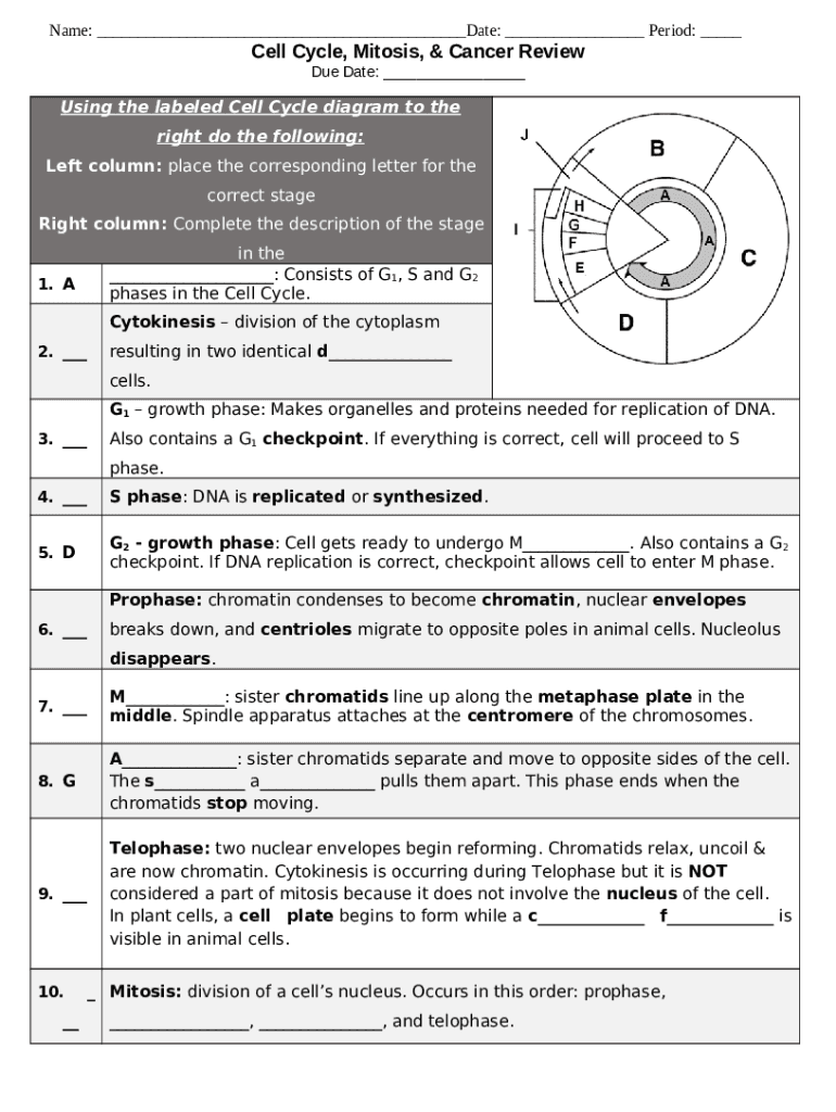 Cell Cycle And Mitosis Worksheet Doc Template Sign PdfFiller Worksheets Library