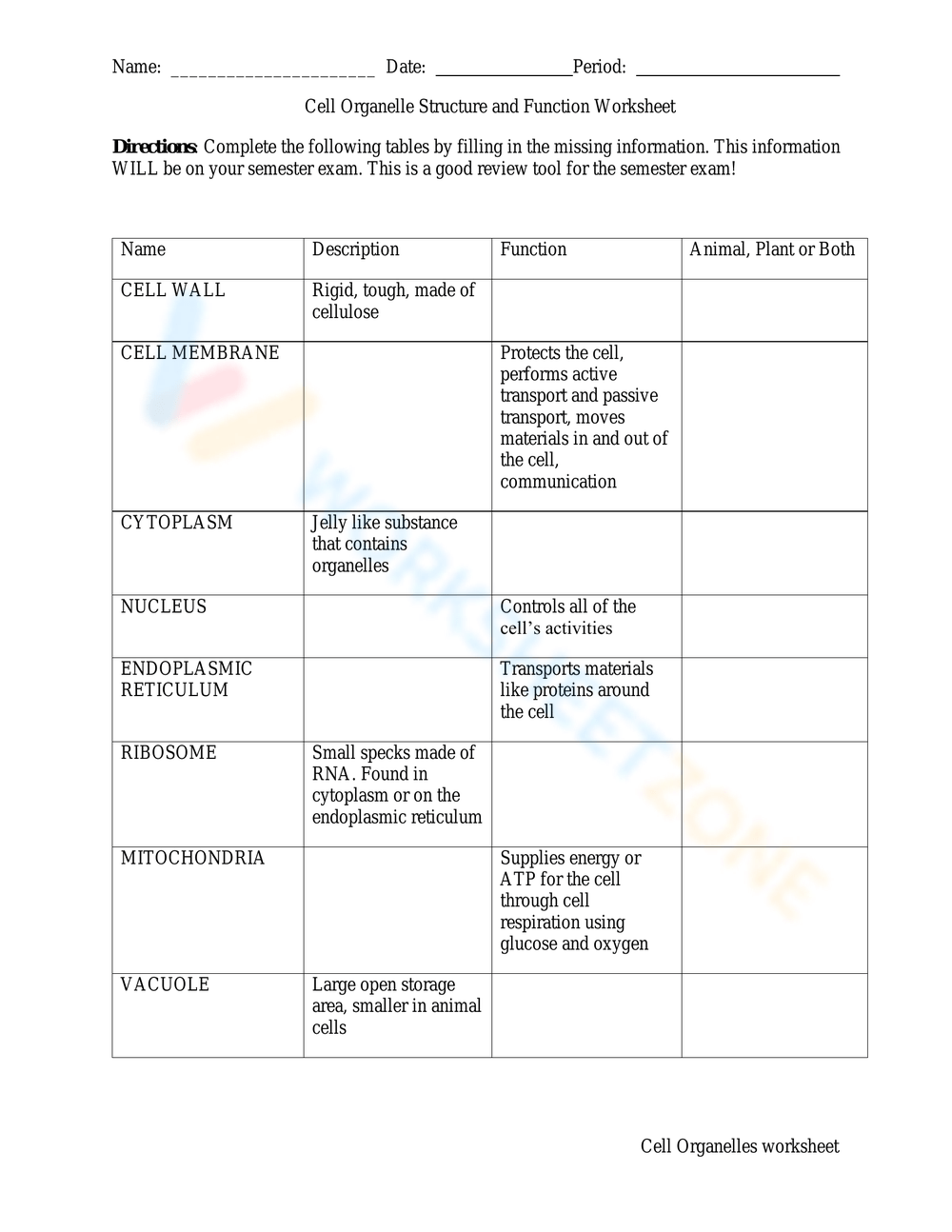 Cell Organelles Worksheets Printable