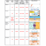 Cell Transport Chart KEY Nov 2 Copy Brown Active And Passive Transport Chart November 2020 Use The Studocu