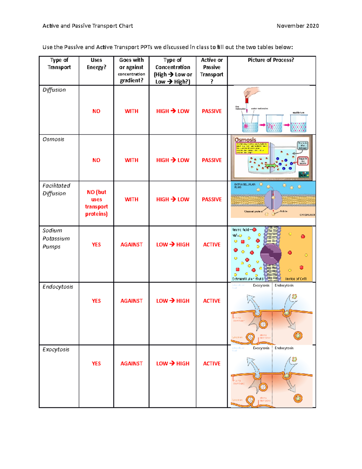 Cell Transport Chart KEY Nov 2 Copy Brown Active And Passive Transport Chart November 2020 Use The Studocu