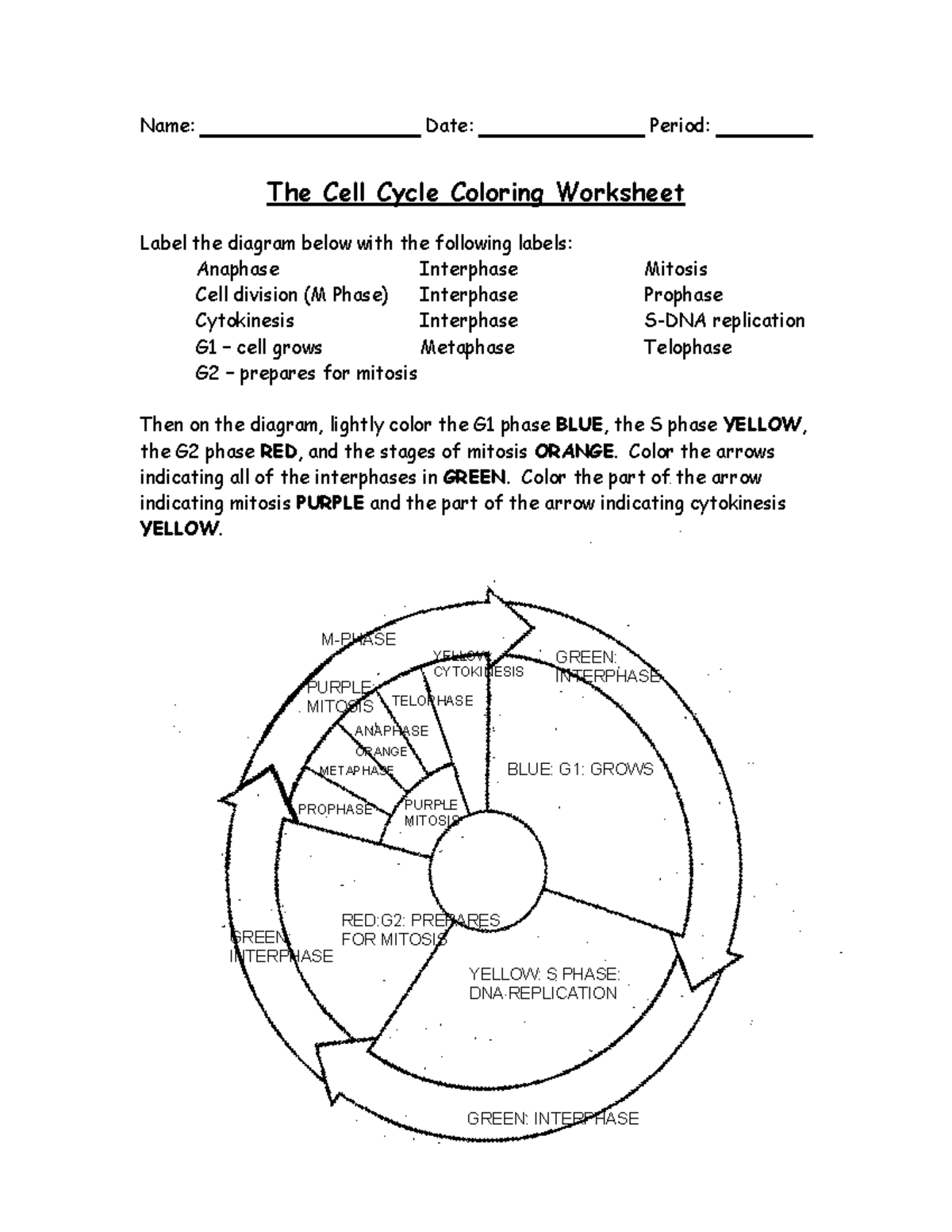 Cells And Cell Cycle Coloring Worksheet For Bio 101 Midterm Exam Studocu Cells And Cell Cycle Coloring Worksheet For Bio 101 Midterm Exam Studocu