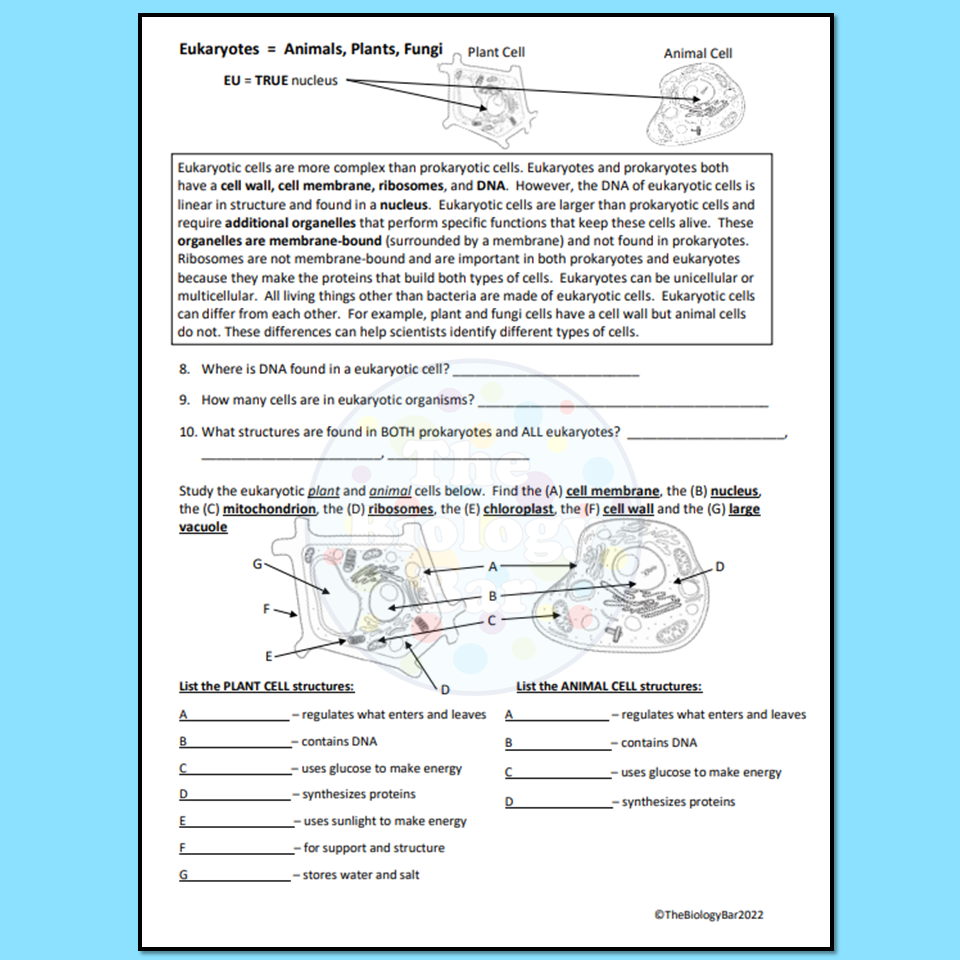 Cells Prokaryotic Vs Eukaryotic Worksheet Made By Teachers Cells Prokaryotic Vs Eukaryotic Worksheet Made By Teachers