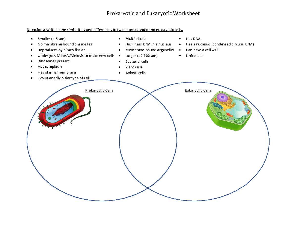 Ch 1 Prokaryotic Vs Eukaryotic Cells Worksheet Studocu