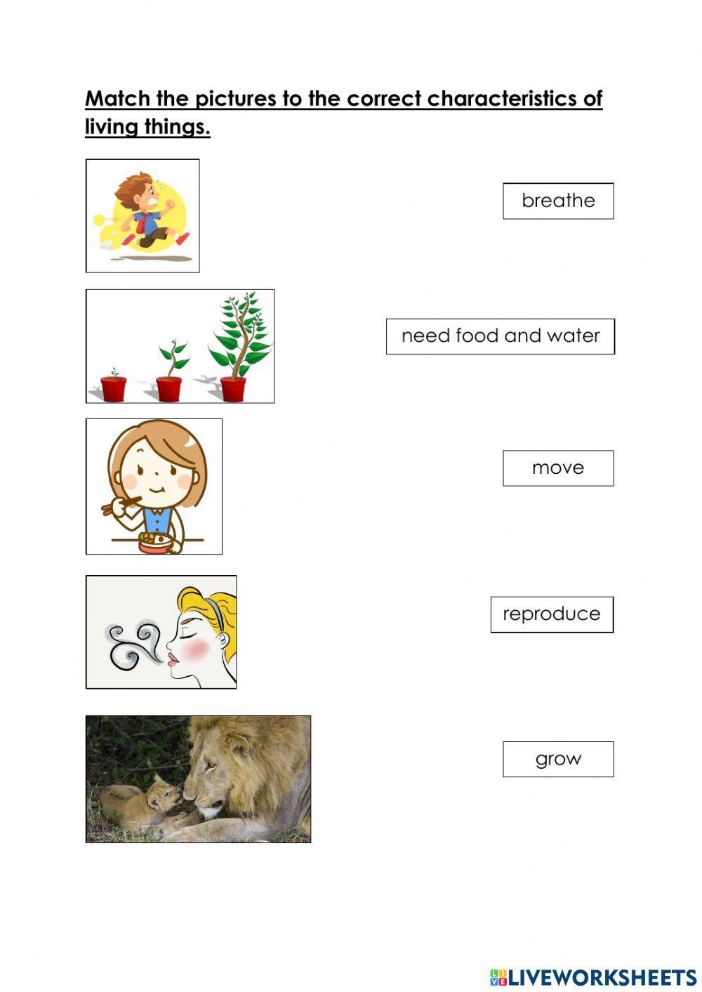 Characteristics Of Living Things Activity For Grade 1 Live Worksheets Library Characteristics Of Living Things Activity For Grade 1 Live Worksheets Library