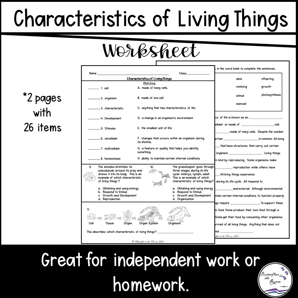 Characteristics Of Living Things Worksheet Classful Characteristics Of Living Things Worksheet Classful