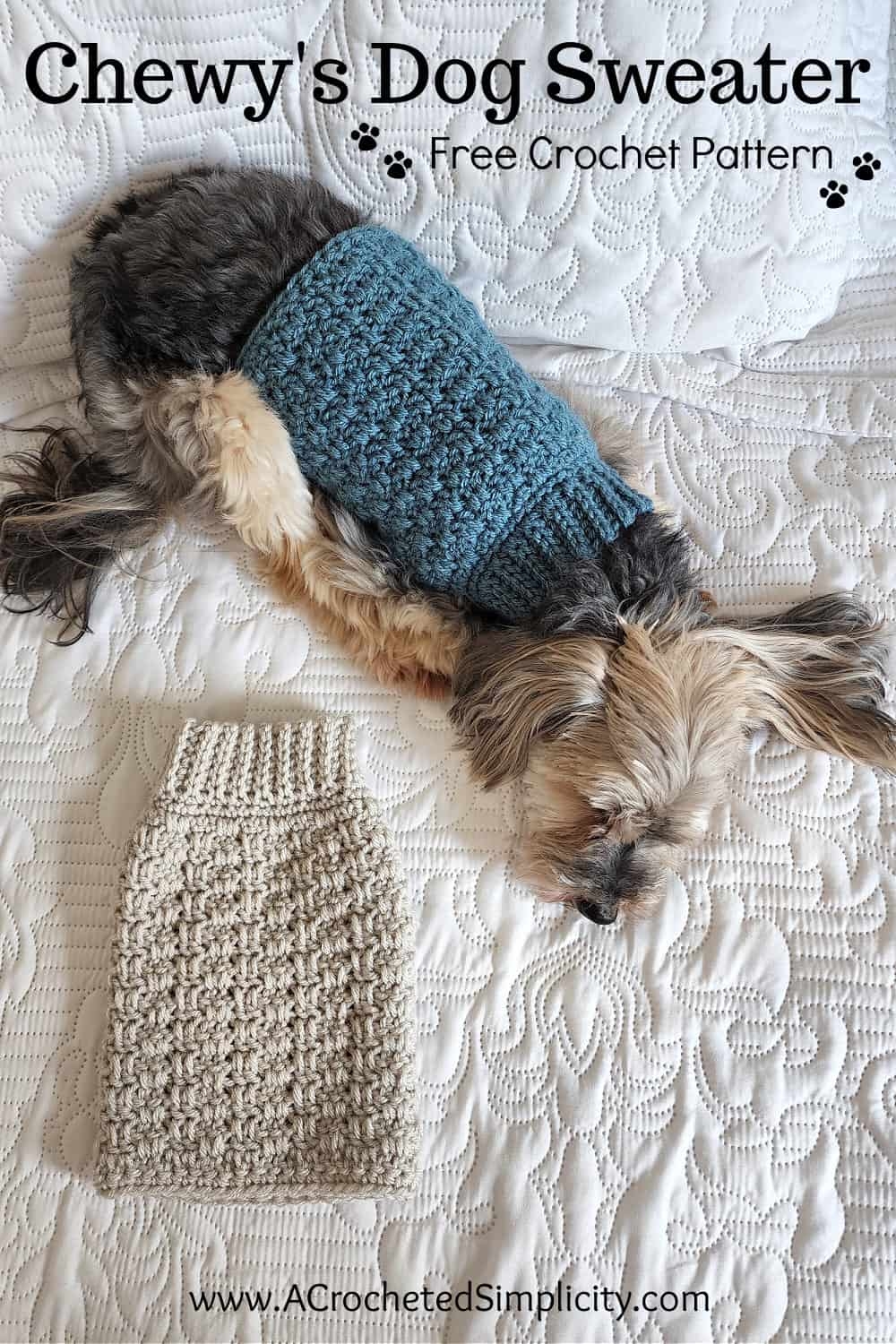 Chewy s Crochet Dog Sweater Free Crochet Pattern For Pets A Crocheted Simplicity