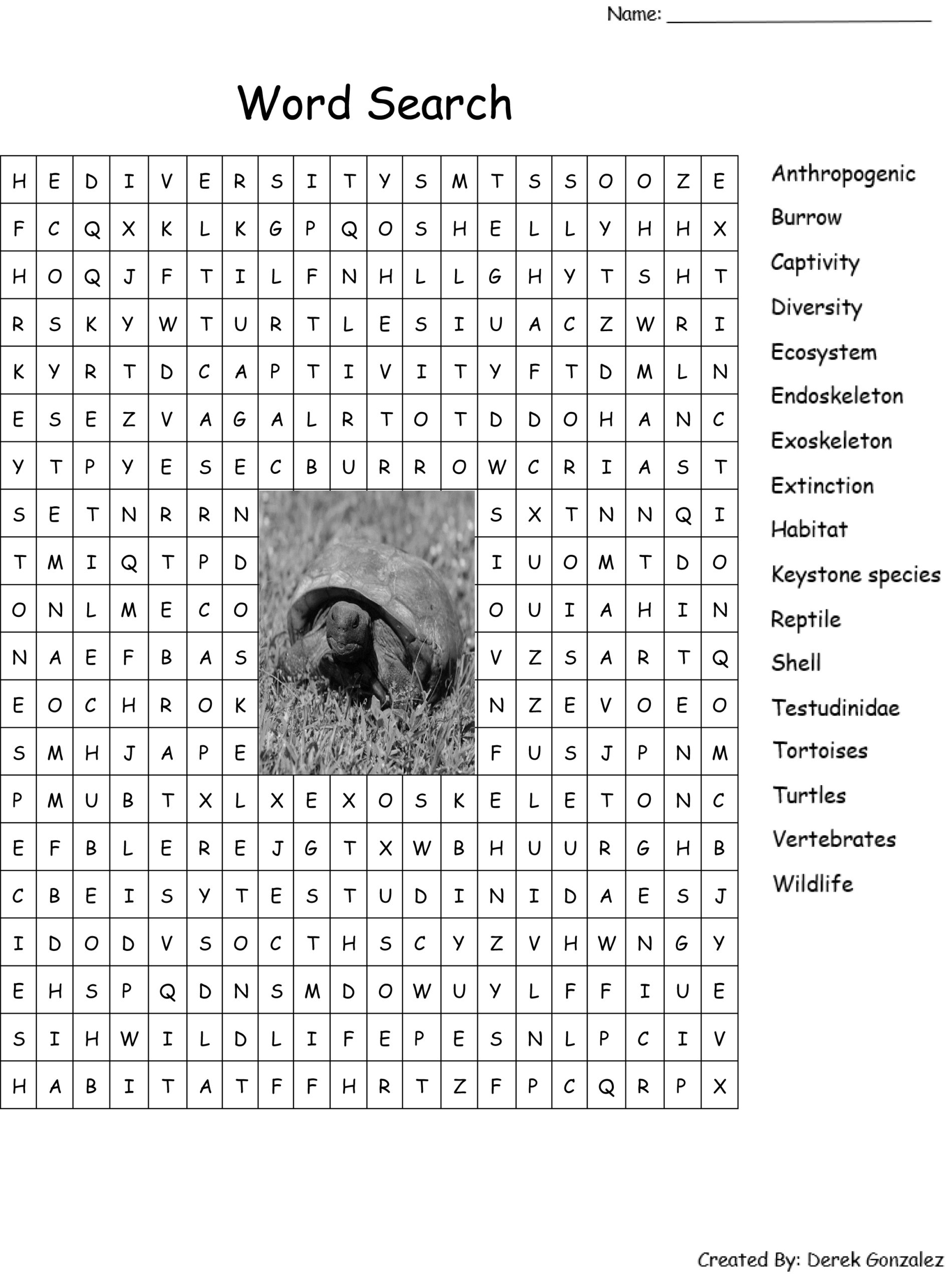 activity sheets for adults