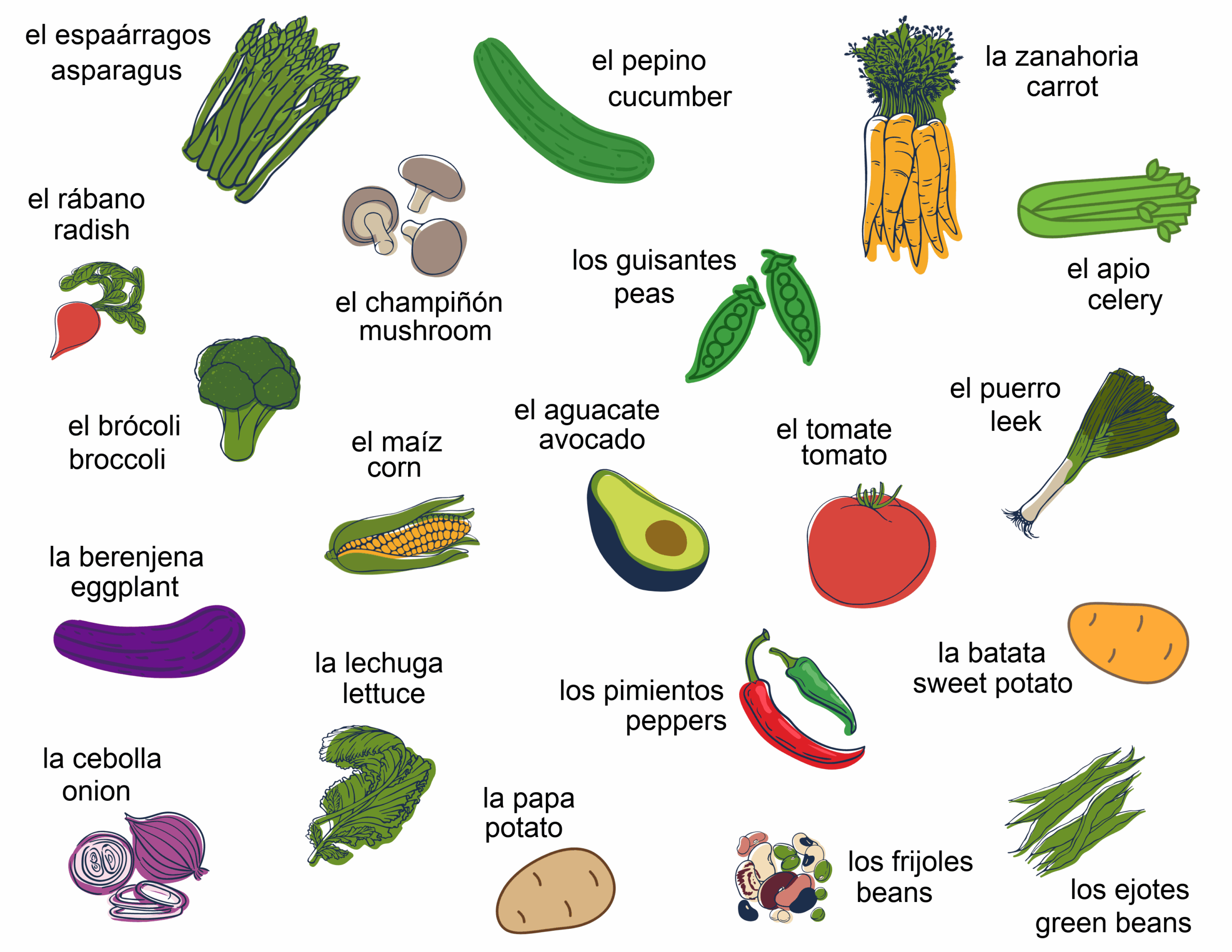 Cindy DeRosier My Creative Life Spanish English Fruits Vegetables And Meat Dairy Vocabulary Cards