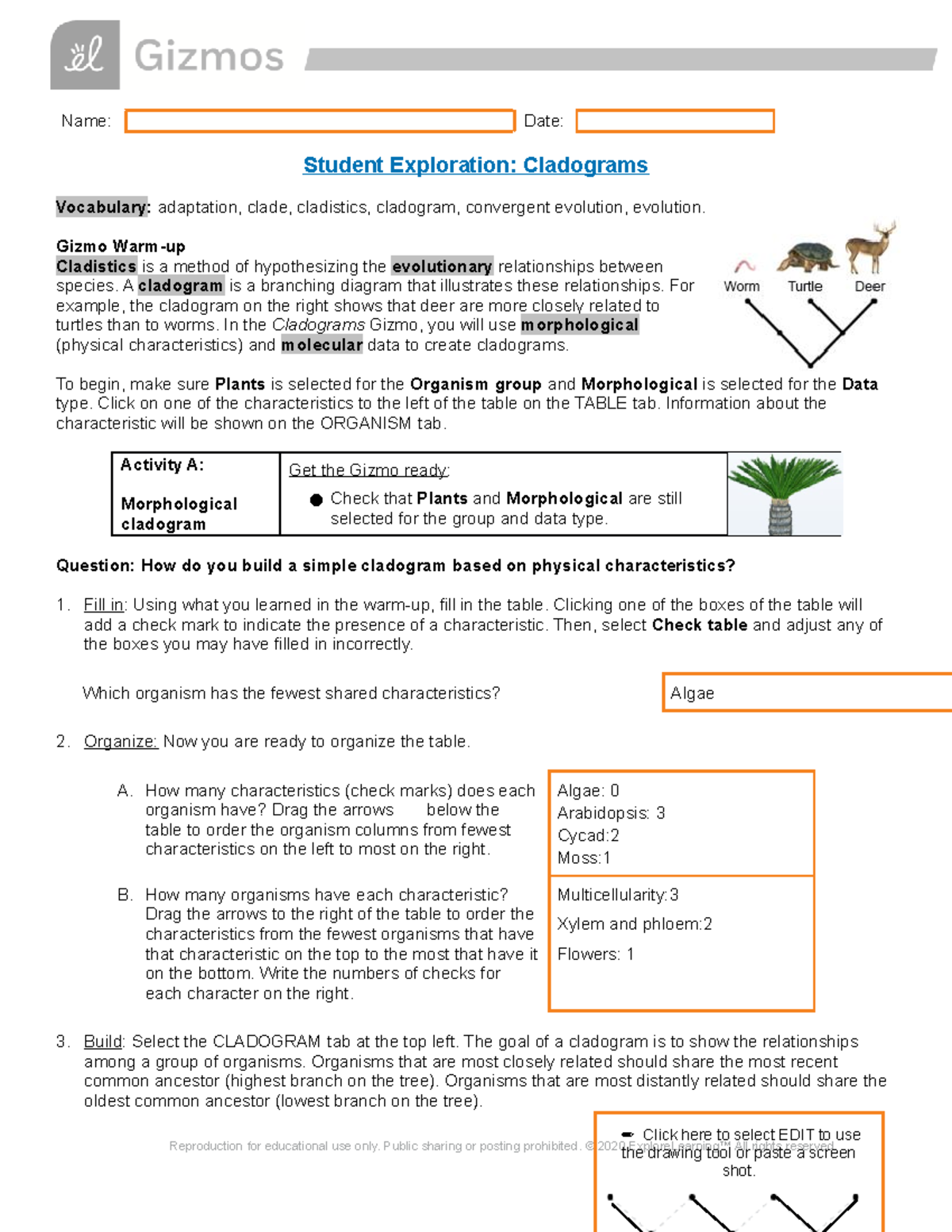 Cladograms Exploration Gizmo Study Guide 14421220 Studocu