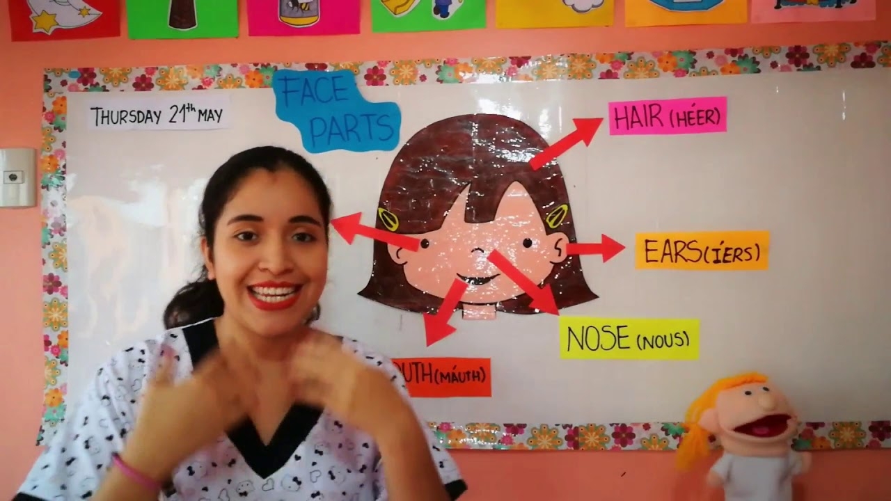 partes de la cara en ingles para niños