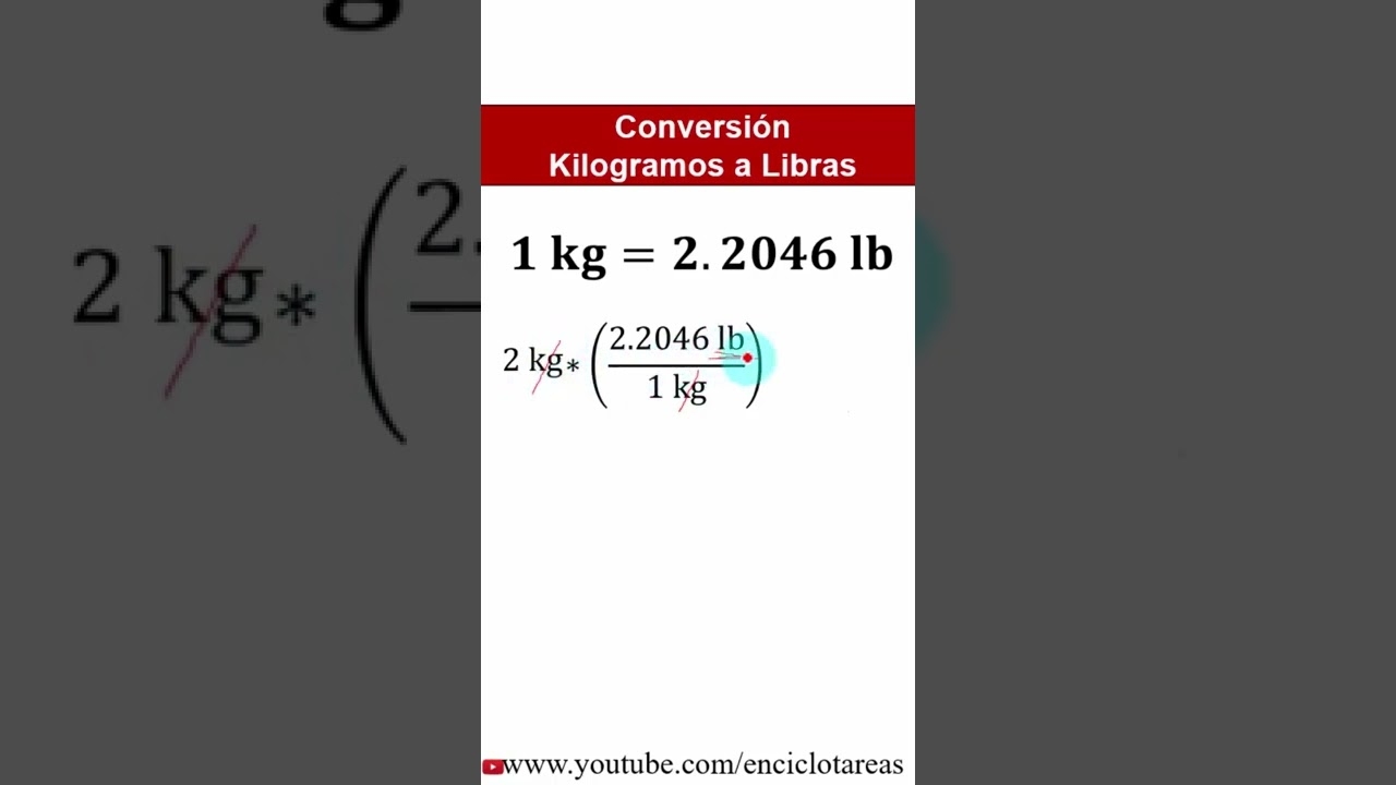 cambio de kilos a libras cambio de kilos a libras