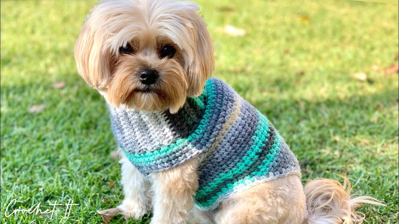 Crochet A Dog Sweater Small 30cm Long Full Tutorial YouTube