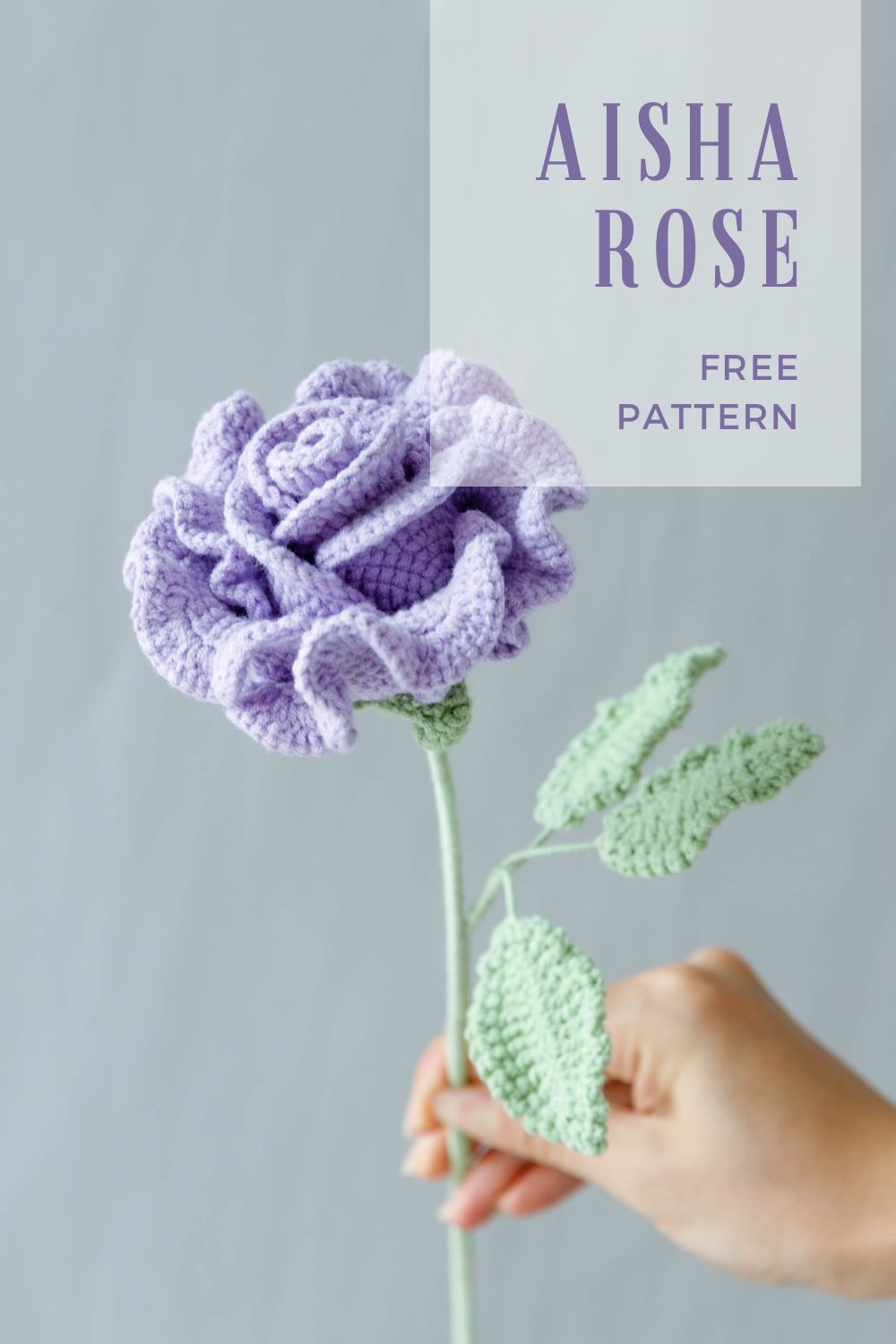 Crochet Aisha Rose Free Pattern Hookok Crochet Aisha Rose Free Pattern Hookok