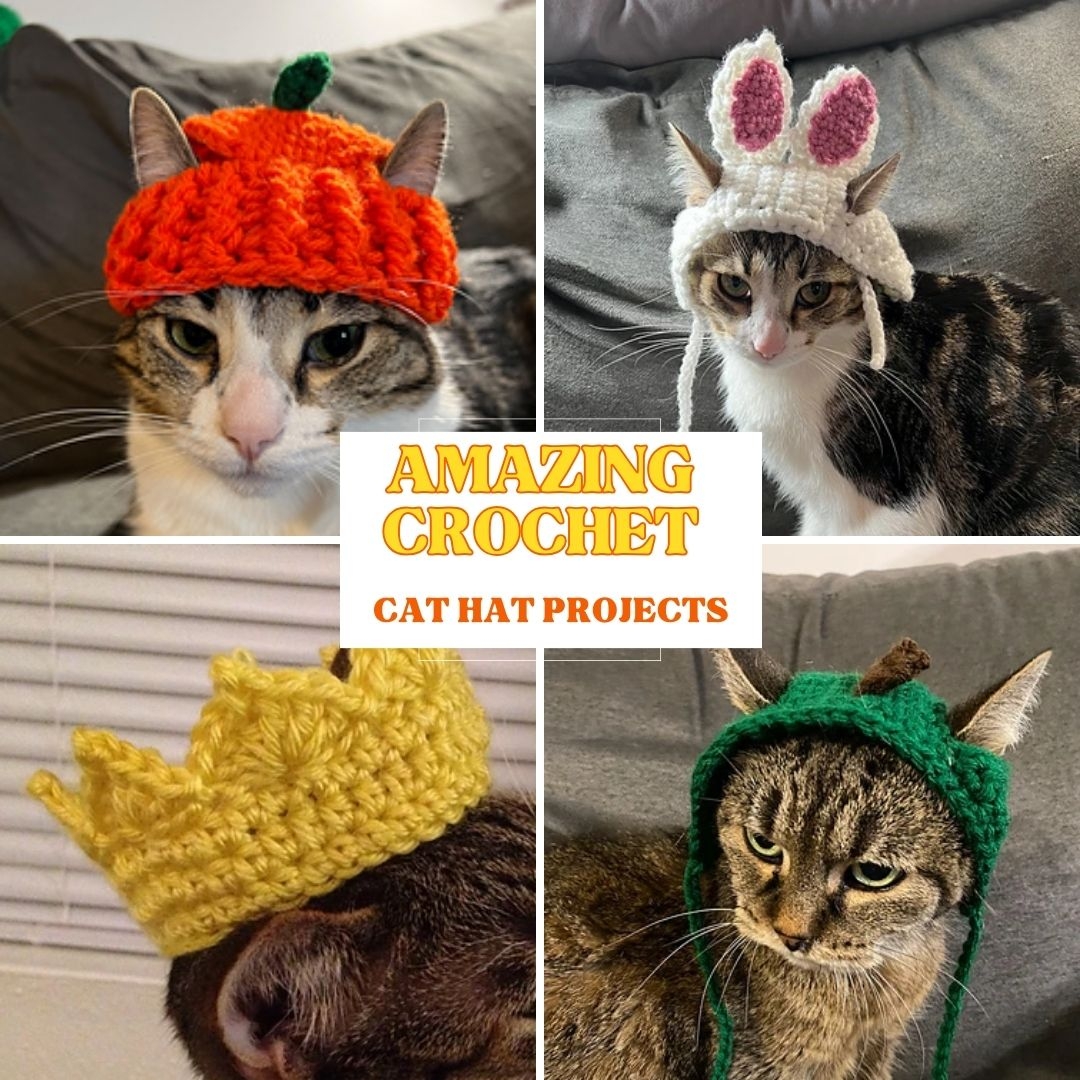 Crochet Cat Hat 18 Free Patterns Fosbas Designs