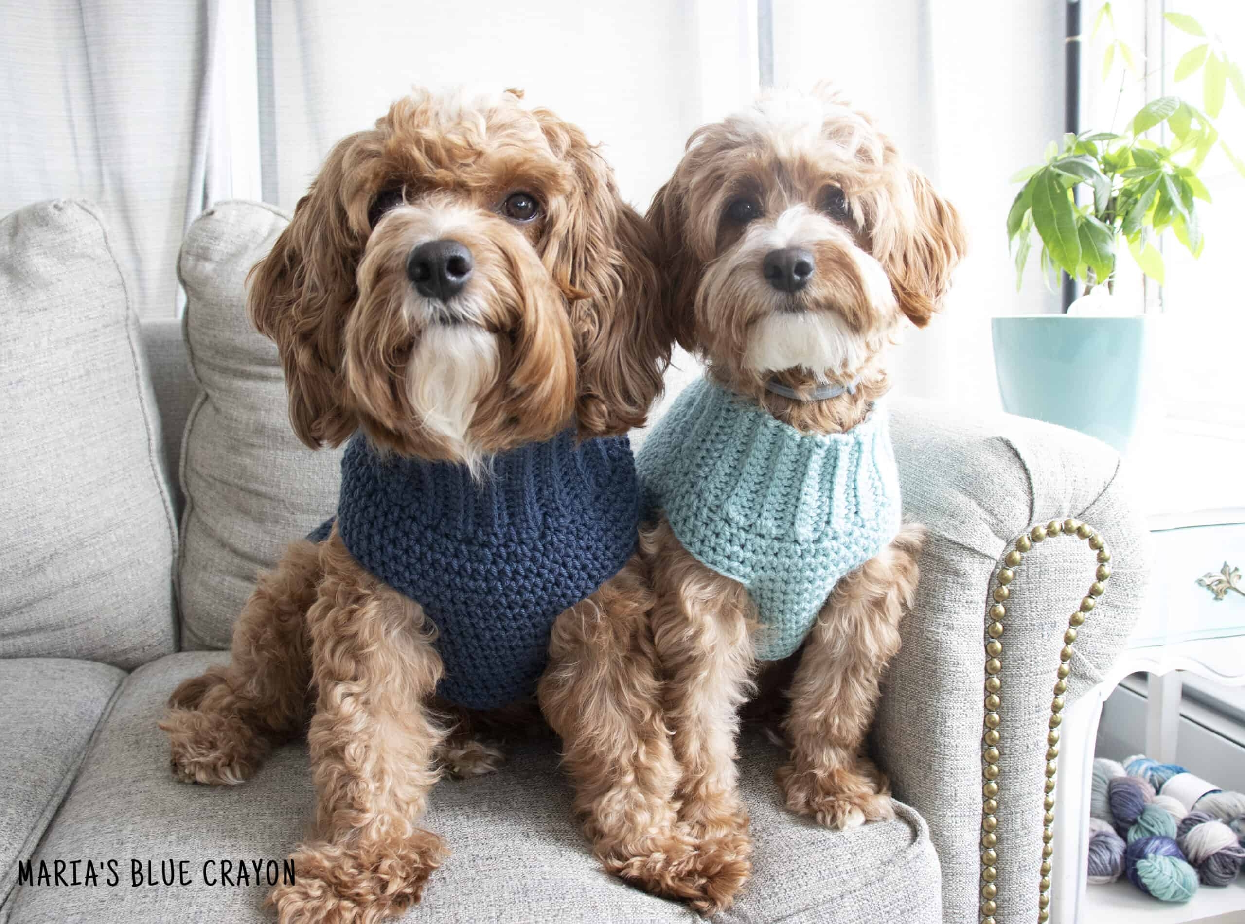 Crochet Dog Sweater Free Pattern Maria s Blue Crayon