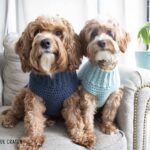 Crochet Dog Sweater Free Pattern Maria s Blue Crayon