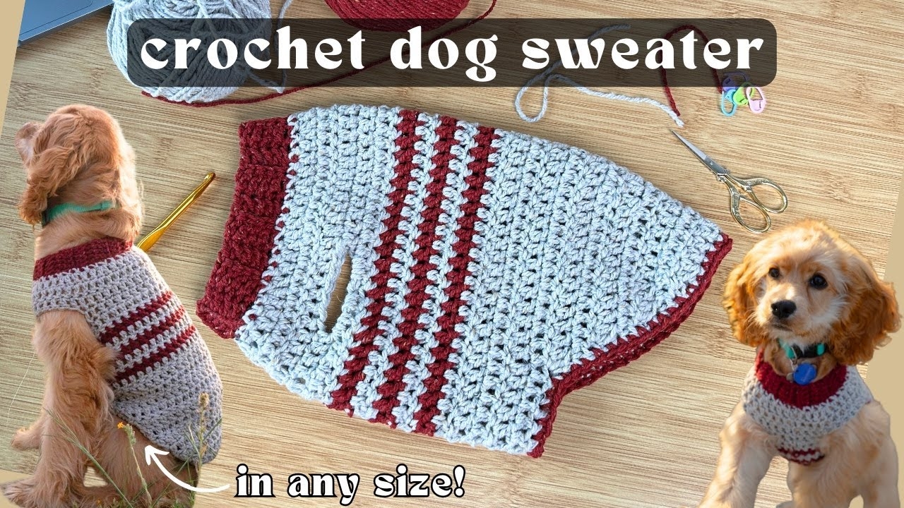 Crochet Dog Sweater Tutorial Quick Easy Crochet Projects For Beginners YouTube Crochet Dog Sweater Tutorial Quick Easy Crochet Projects For Beginners YouTube