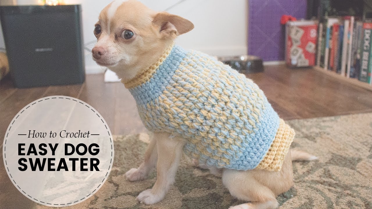 crochet puppy sweater pattern