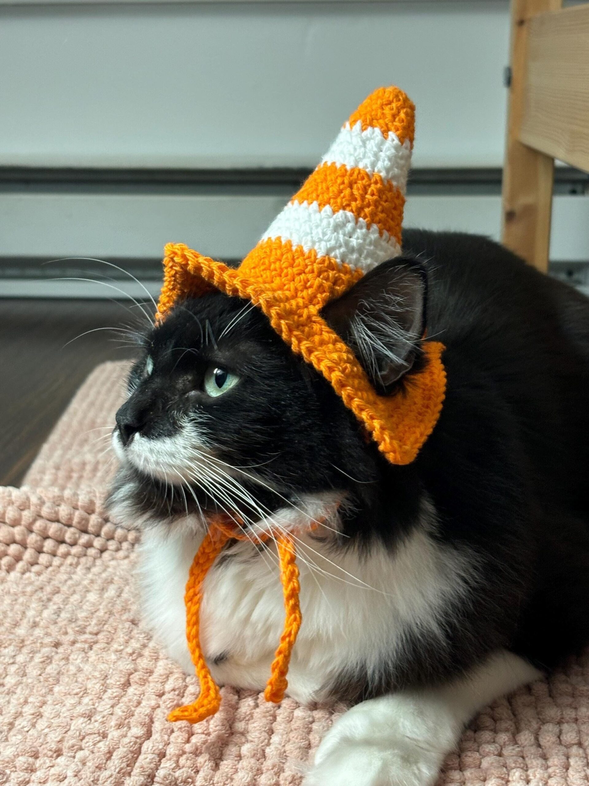 CROCHET PATTERN Crochet Traffic Cone Cat Hat Cute Pet Hat Crochet Pattern Etsy CROCHET PATTERN Crochet Traffic Cone Cat Hat Cute Pet Hat Crochet Pattern Etsy