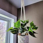 Crochet Plant Hanger 3 Sizes A Crocheted Simplicity