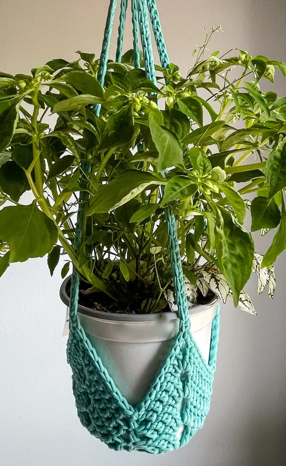 Crochet Plant Hanger The Never Ending Star Free Pattern Crochet Plant Hanger The Never Ending Star Free Pattern