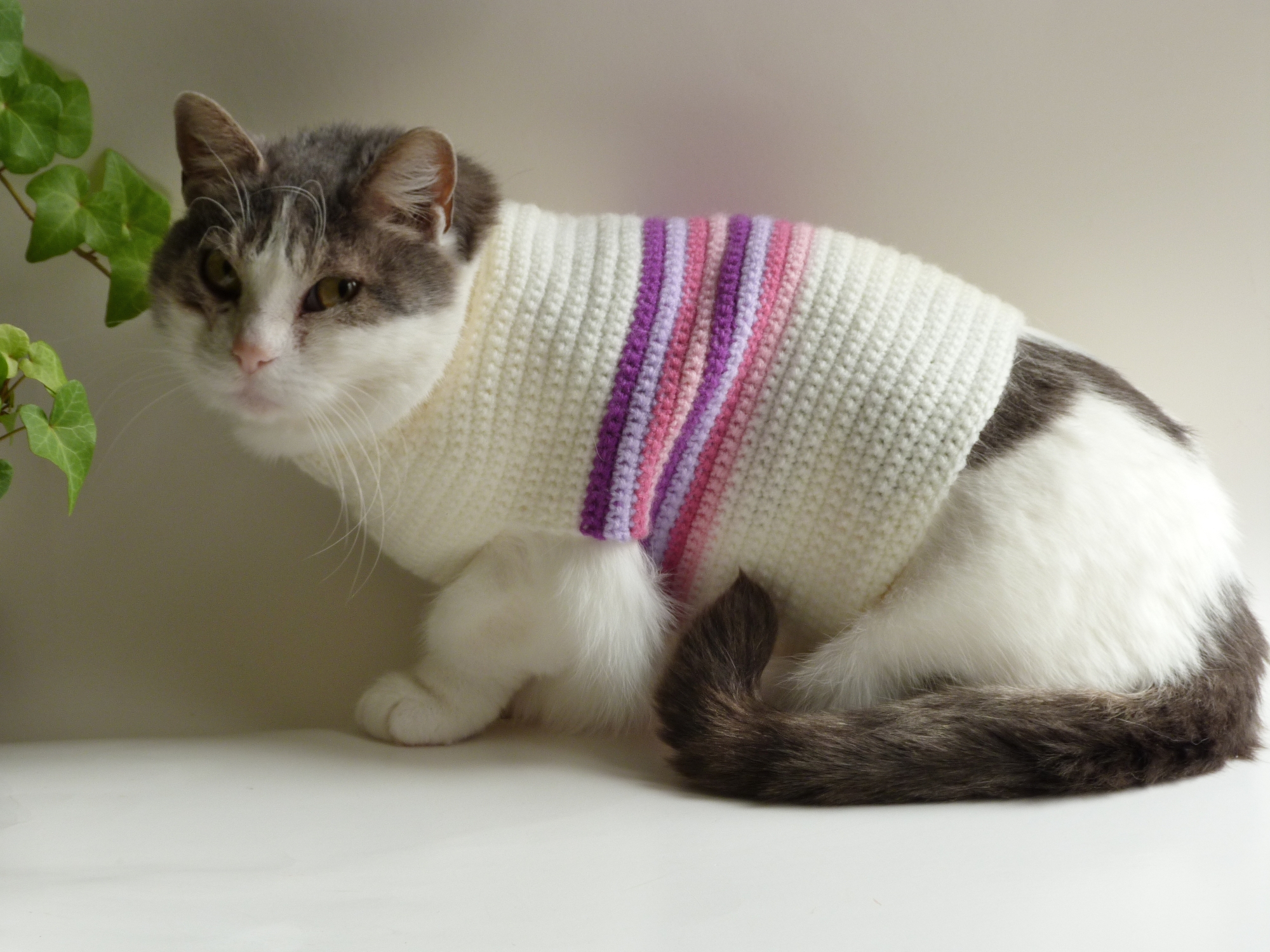 Crochet Spot Blog Archive Free Crochet Pattern Retro Striped Cat Sweater Crochet Patterns Tutorials And News