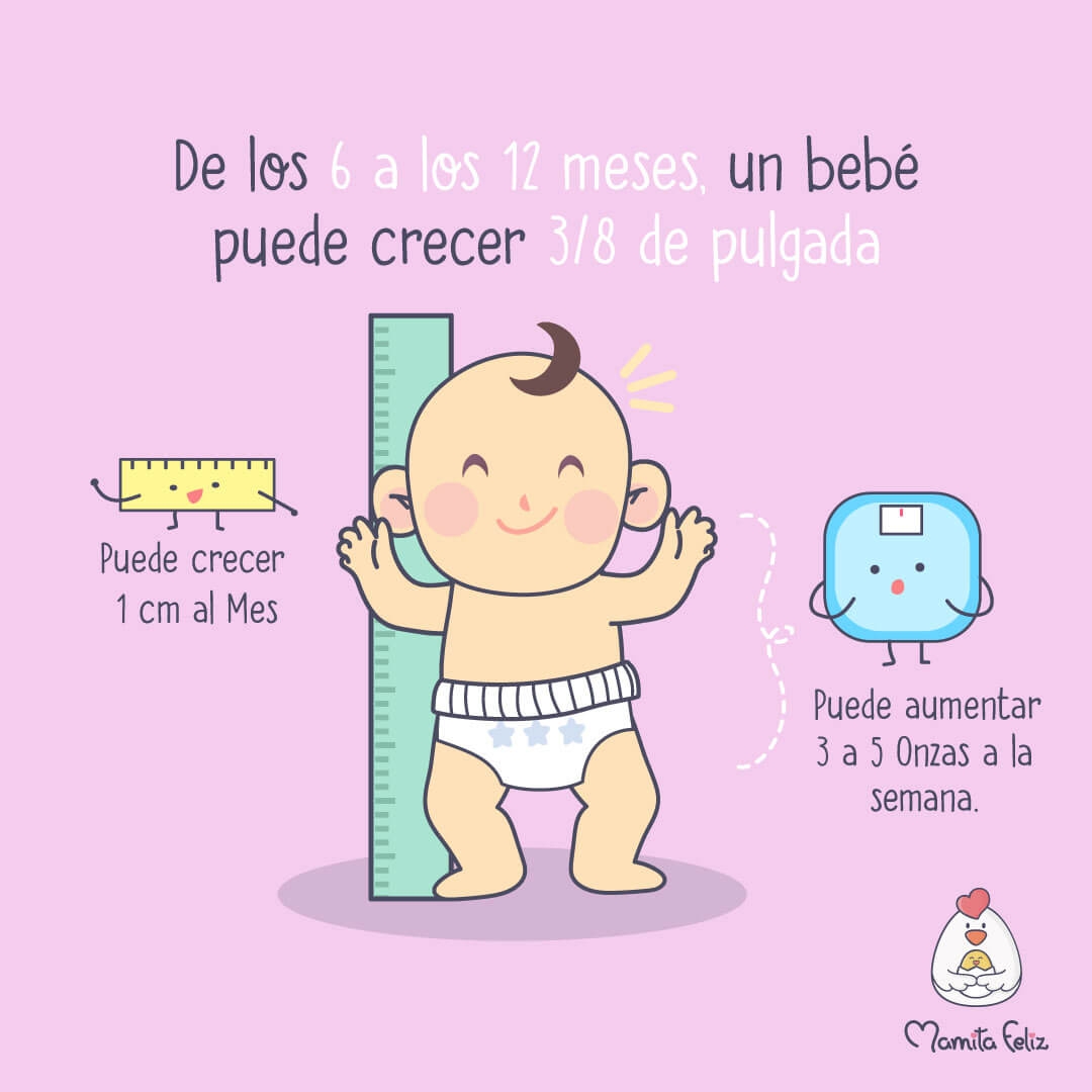 Cu nto Debo Esperar Que Crezca Mi Beb Durante El Primer A o Cu nto Debo Esperar Que Crezca Mi Beb Durante El Primer A o