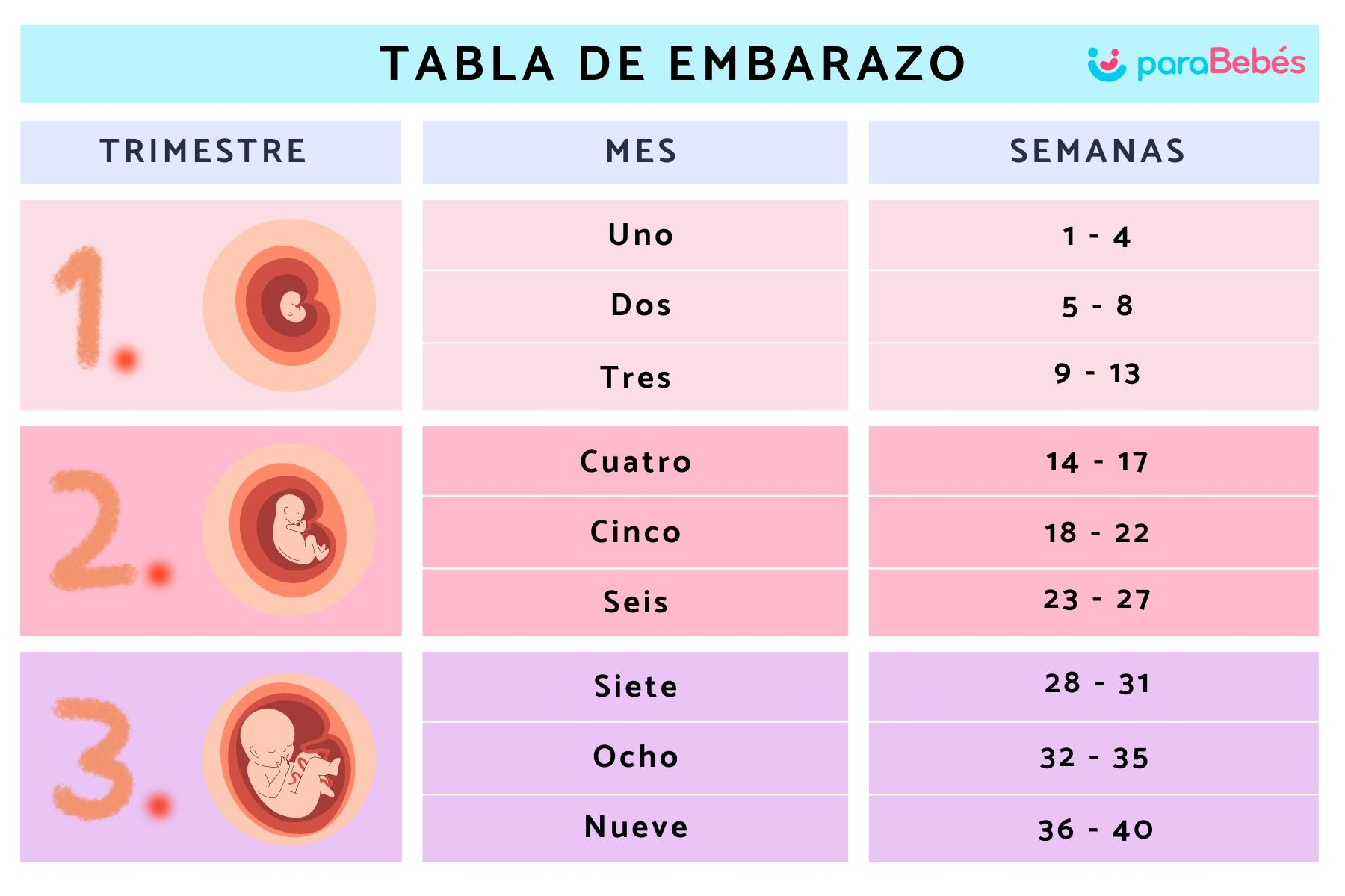 Cuantas Semanas A Los Meses De Embarazo Se Mueve El Bebe Octavo Mes De Cuantas Semanas Cuantas Semanas A Los Meses De Embarazo Se Mueve El Bebe Octavo Mes De Cuantas Semanas