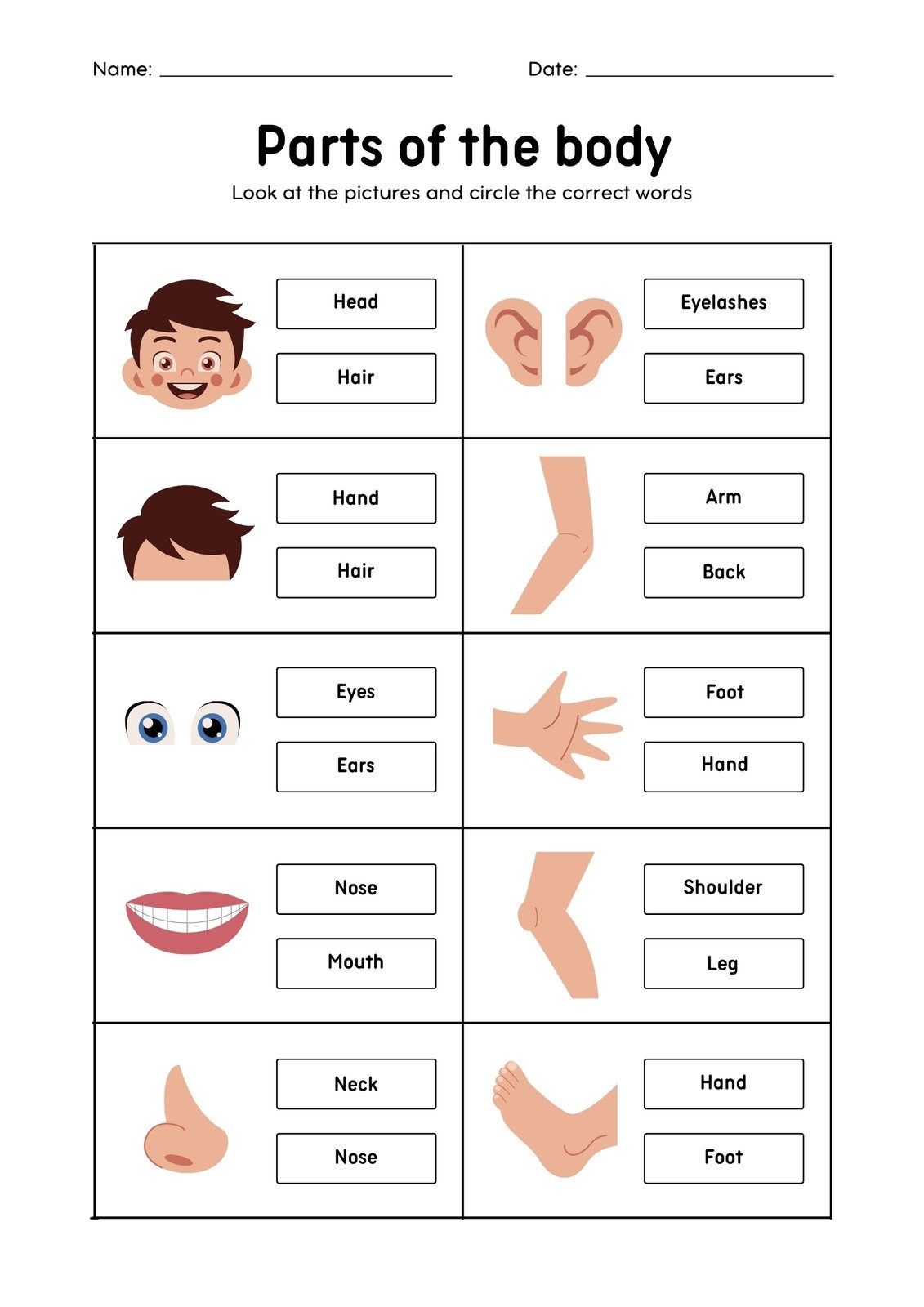 Customize 71 Body Parts Worksheets Templates Online Canva
