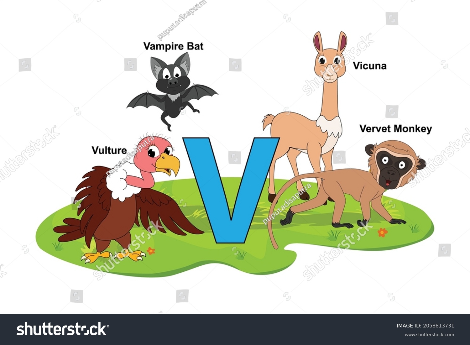 animals that start with the letter v animals that start with the letter v