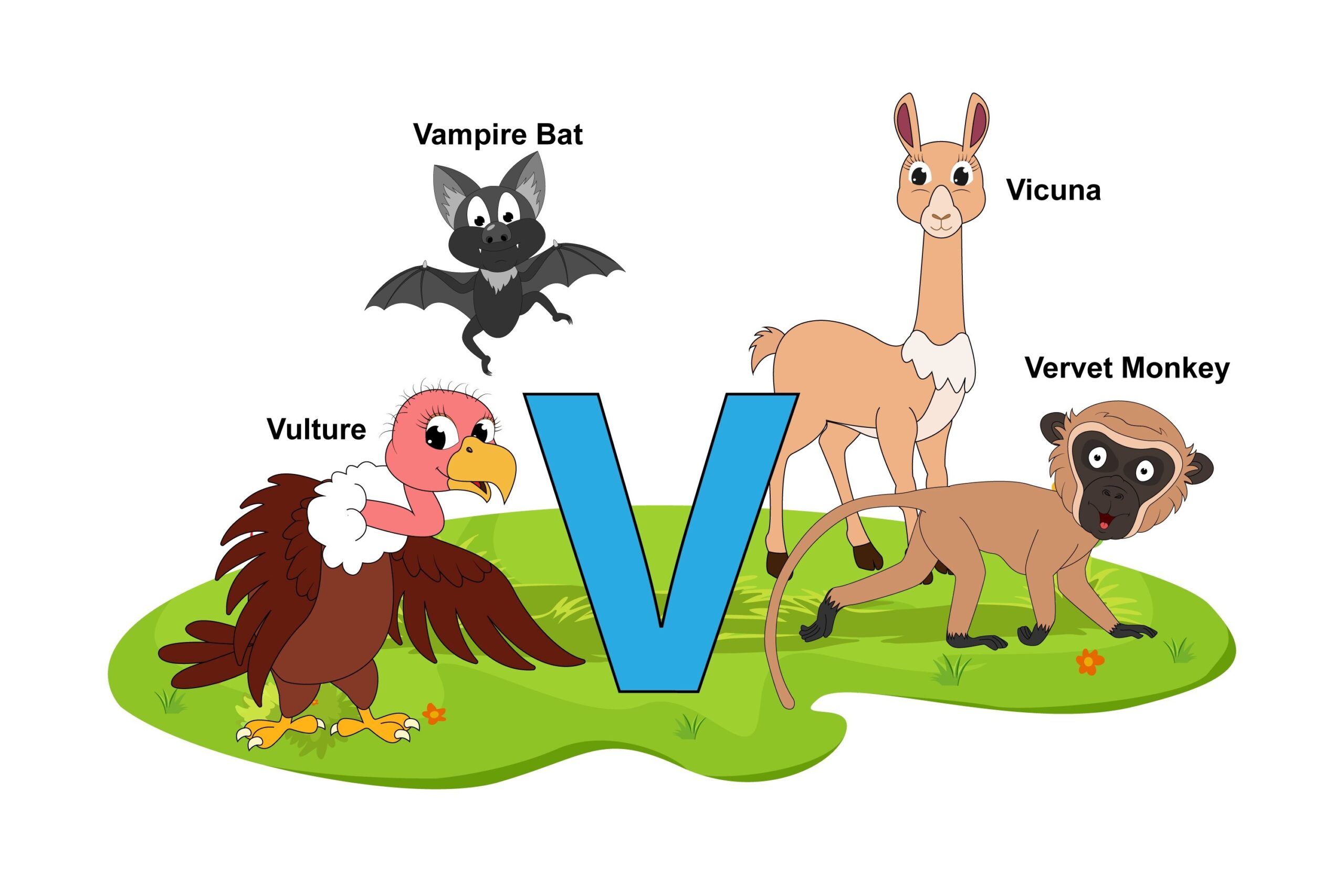 animals start with v