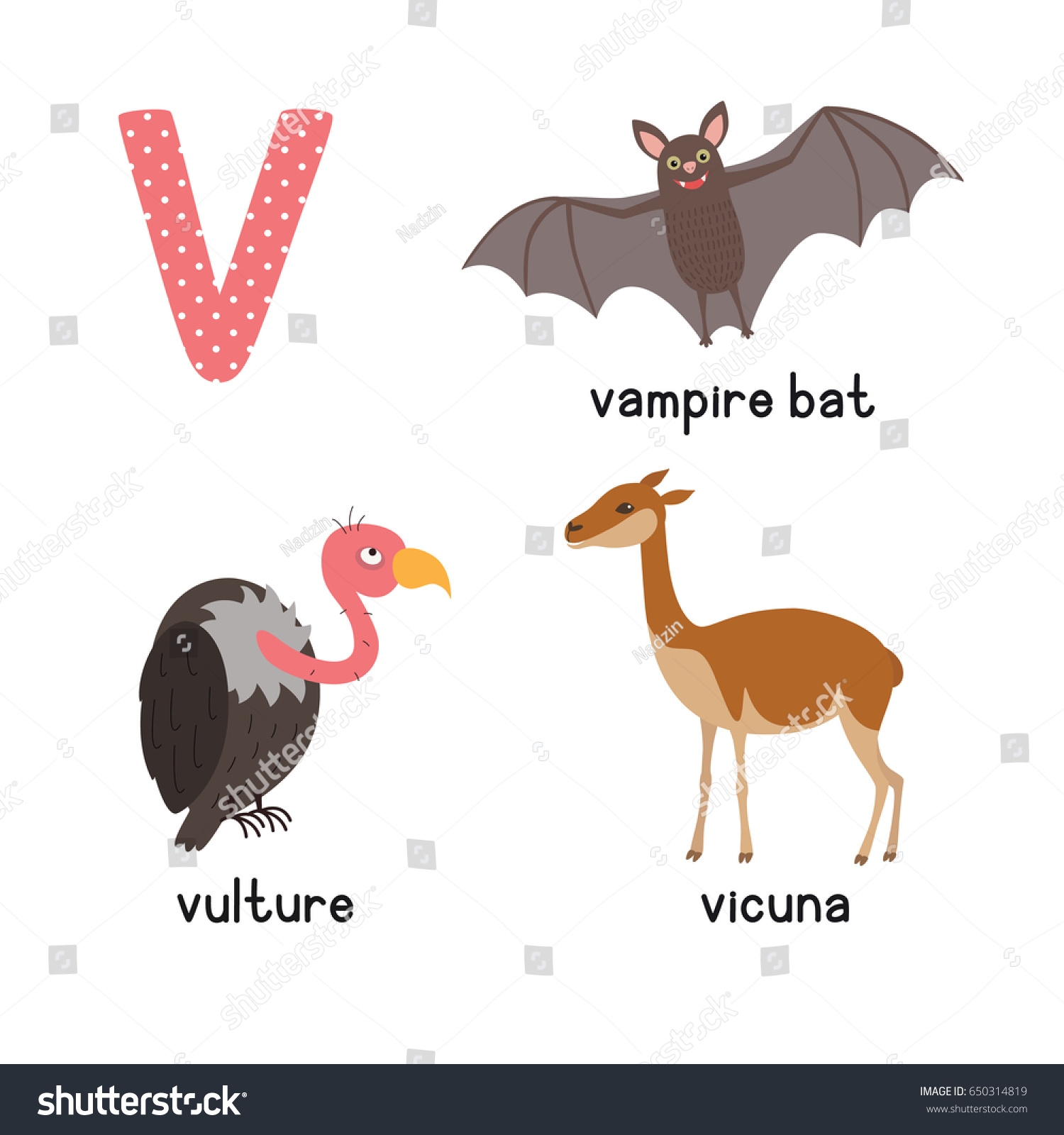 animal starts with v animal starts with v