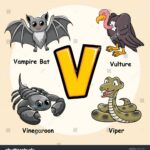 Cute Animals Alphabet Letter V Vulture Stock Vector Royalty Free 1786077806 Shutterstock