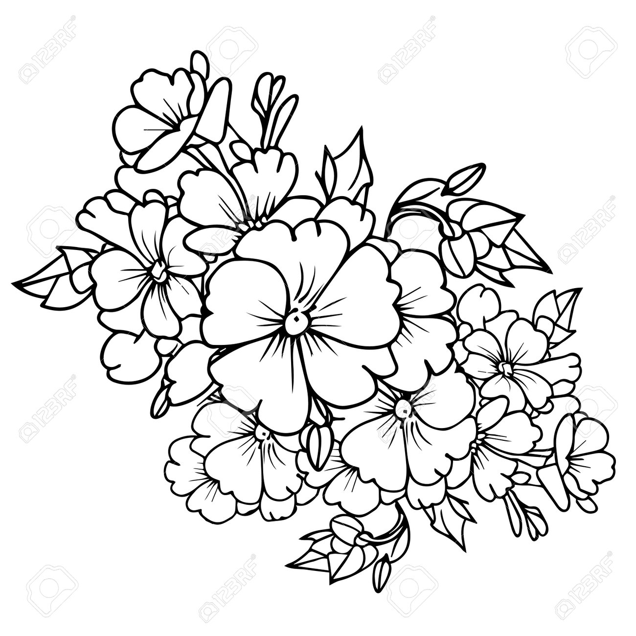 Cute Flower Coloring Pages Primrose Drawing Evening Primrose Wildflower Drawings Hand Drawn Botanical Spring Elements Bouquet Of Primrose Line Art Coloring Page Royalty Free SVG Cliparts Vectors And Stock Illustration Image 210305606 