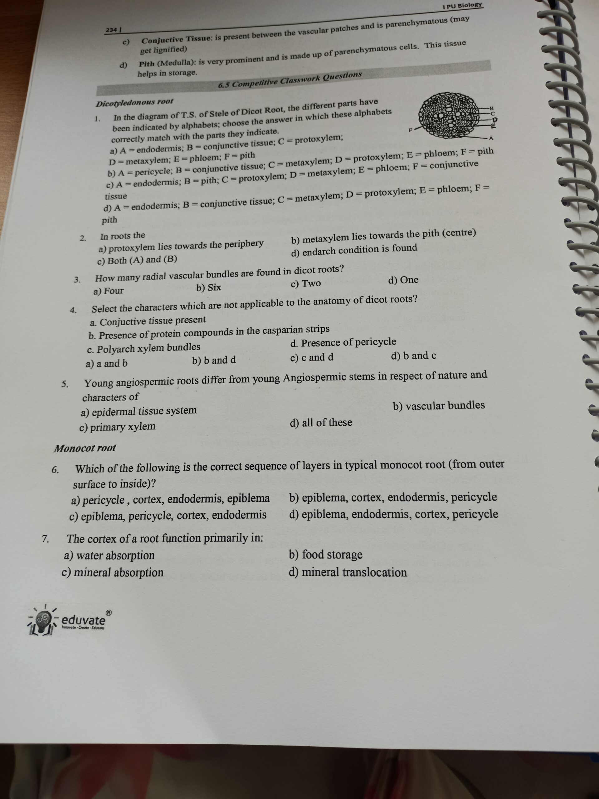 Dicot And Monocot Root Anatomy Questions In The Diagram Of T S Of Stele 