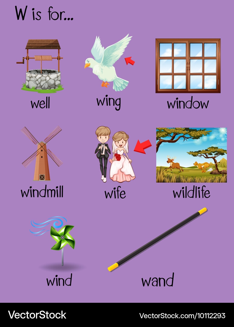 Different Words Begin With Letter W Royalty Free Vector