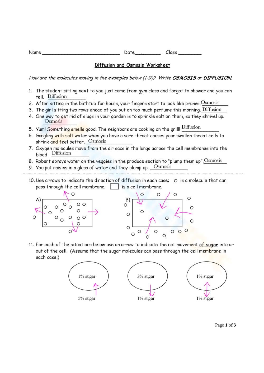 Diffusion And Osmosis Collection Worksheetzone Worksheets Library Diffusion And Osmosis Collection Worksheetzone Worksheets Library