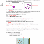 Diffusion And Osmosis Worksheet KEY 08 Concepts And Examples Studocu