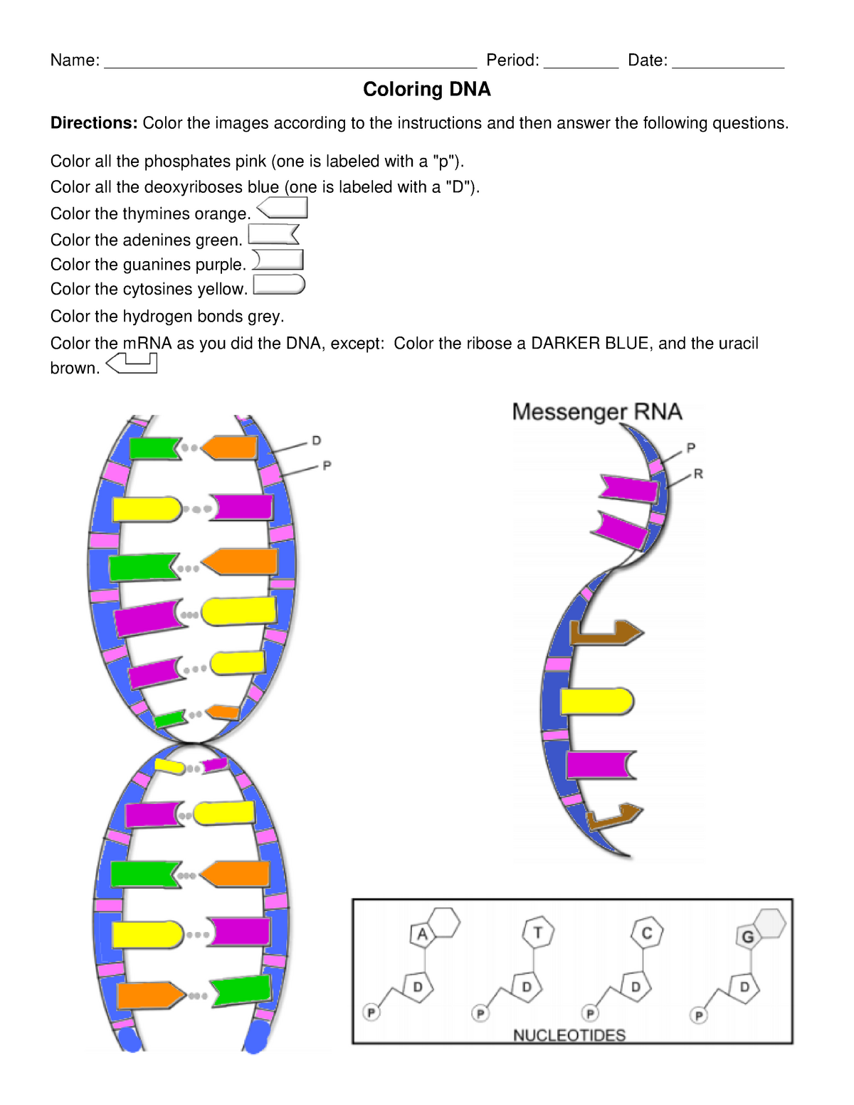 Dna Coloringggggggggggg Name Period Date Studocu Worksheets Library
