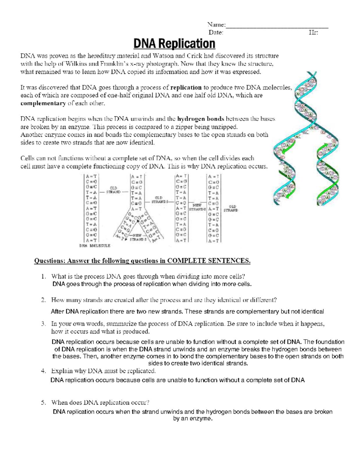 dna and dna replication worksheet