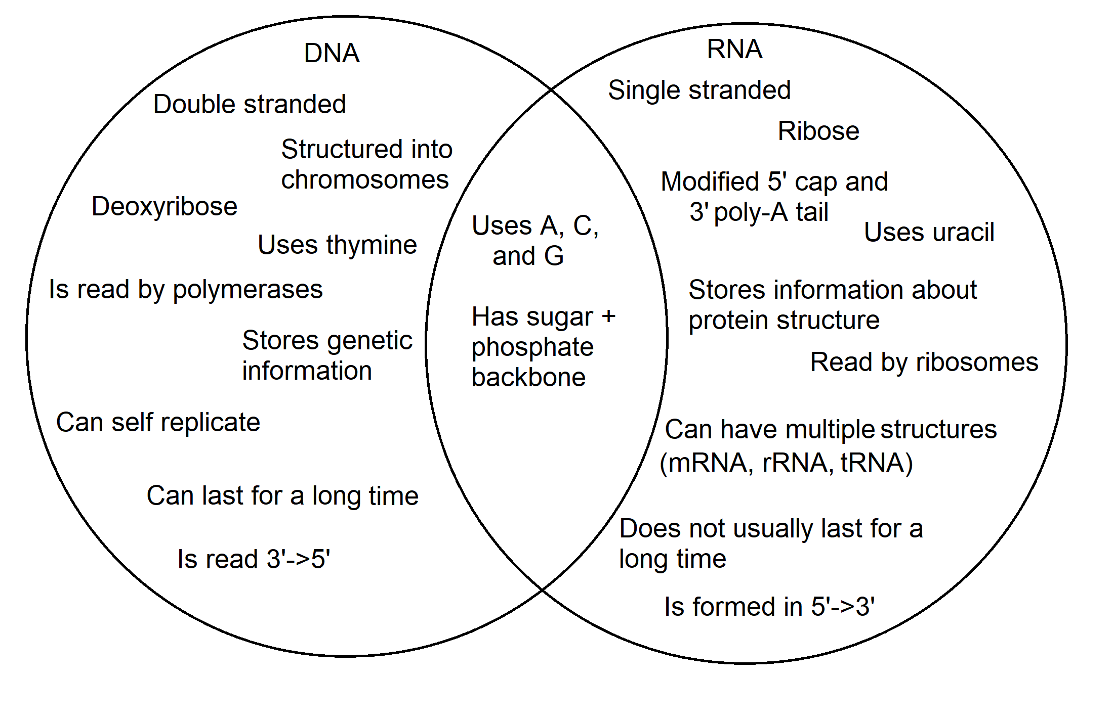 DNA Vs RNA Differences Similarities Expii